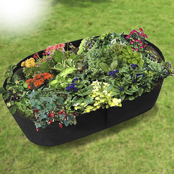 Arlmont & Co. Fabric Garden Bed, 4 X 2 Feet Raised Garden Bag For